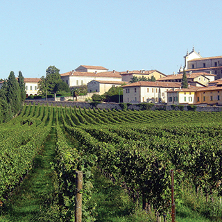 visite_in_franciacorta_con_conducente